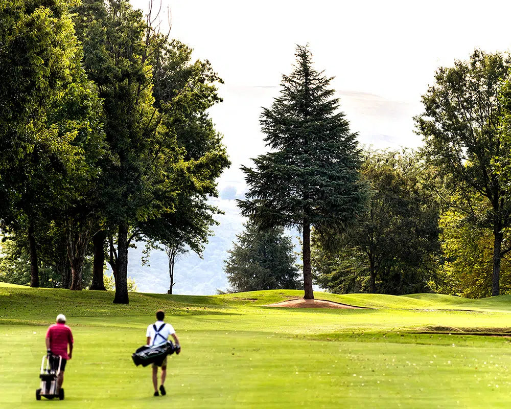 Champagne Sports Resort