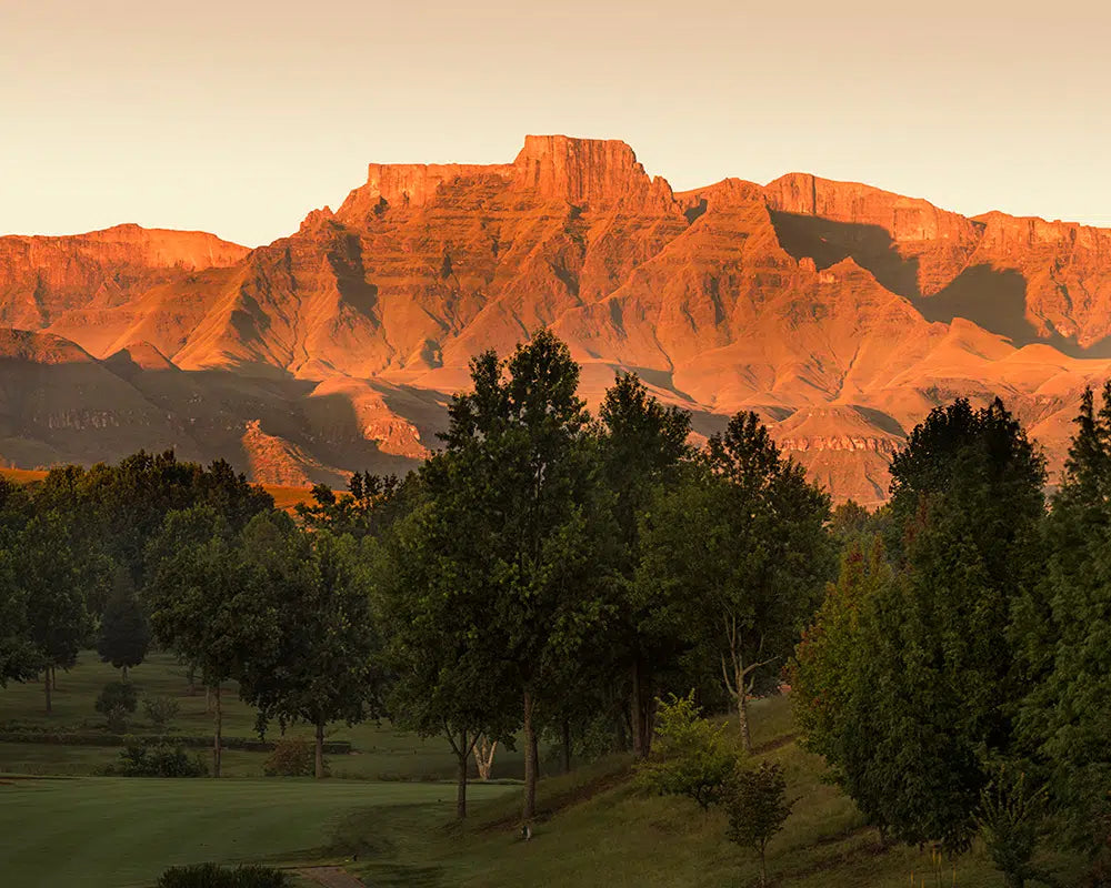 Champagne Sports Resort